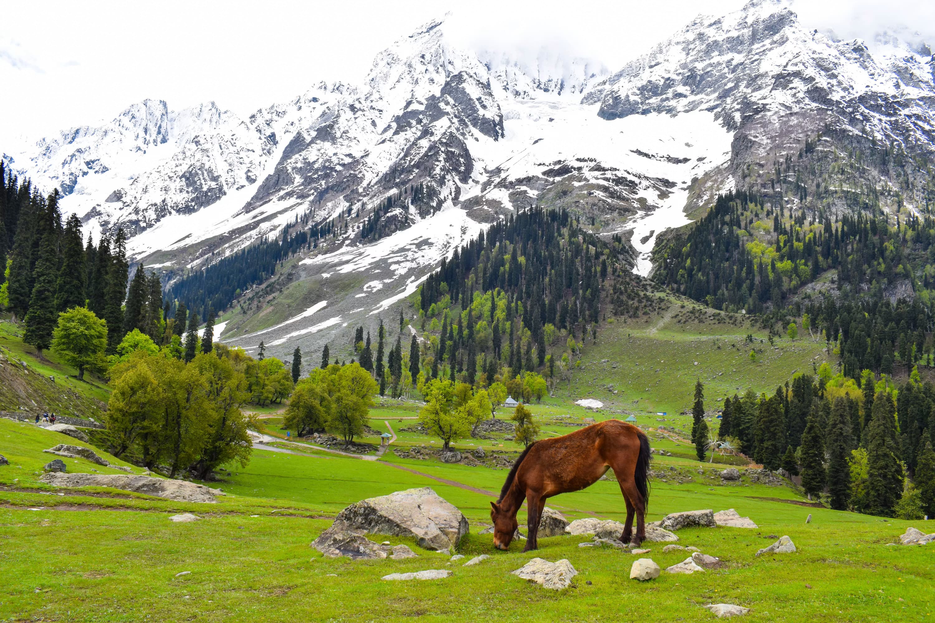 Premium bespoke travel experiences